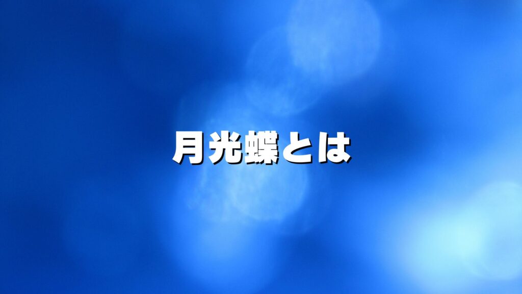 月光蝶とは
